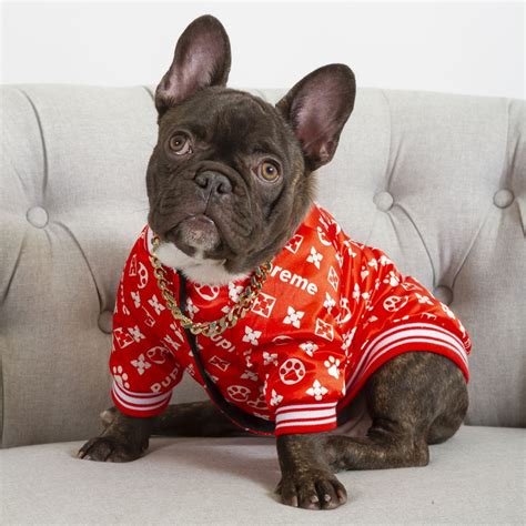 custom french bulldog clothing.